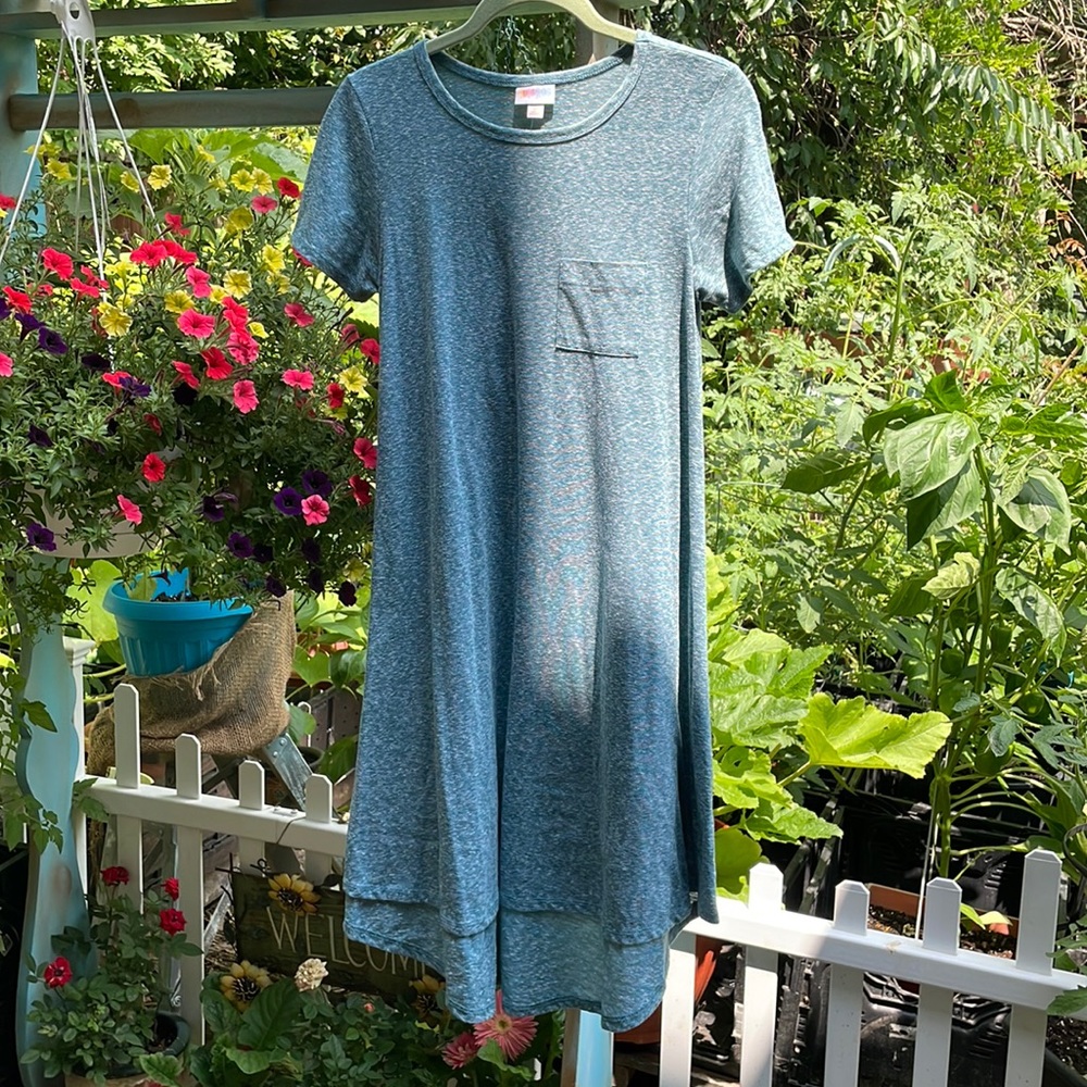 LuLaRoe Carly dress | size XS